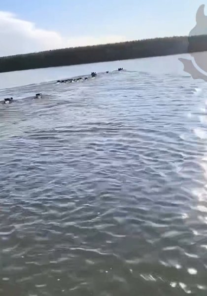�������, ������! ������ � ��� �� �����!� � ������������ ������ �������� ����� �������������� ������ ... - 2