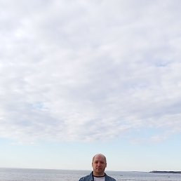, 41, 