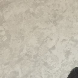 �����, �������, 33 ����