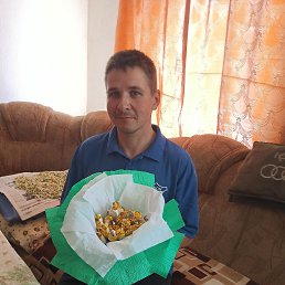 , 37, 