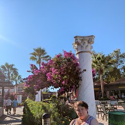 , 56, 
