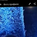 ���� �����, ������, 49 ��� - ��������� 23 ������� 2025