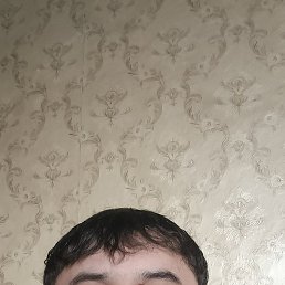, 37, 