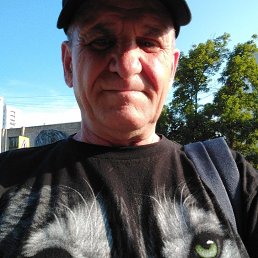 , 61, 