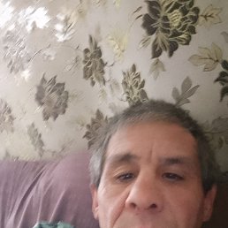 , 44, 