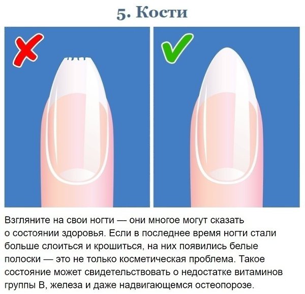 Тесты для контроля состояния вашего организма - 5