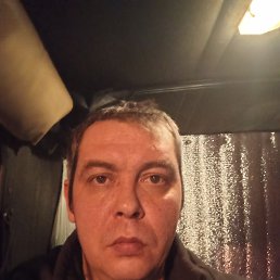 �������, 39 ���, ���������