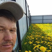 , 33 , 