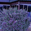  , - -  3  2025   , ,  2025