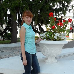 ���� ���, ������, 33 ���� - ��������� 8 ������ 2026