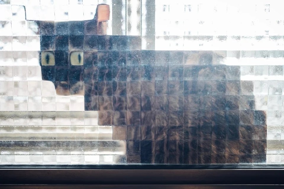 ��������� ������������ ����� - 3