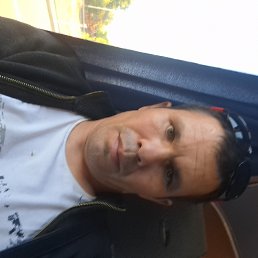 , 41, 