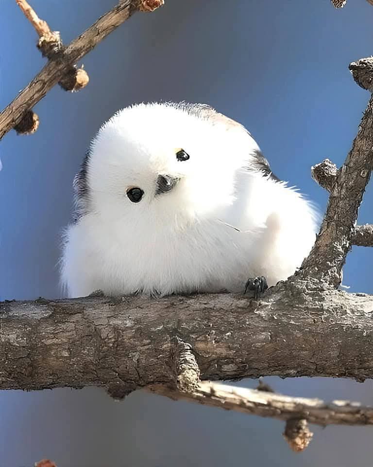 .      .   , ,   !  ...