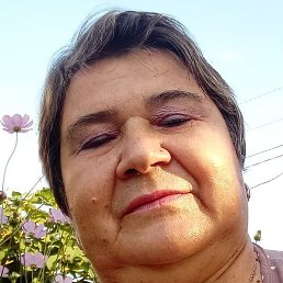 ���������, ������, 65 ���