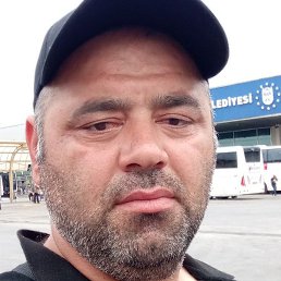 ������, �������, 41 ���