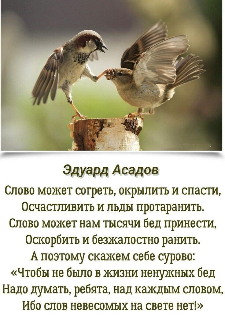  - 14  2024  14:03