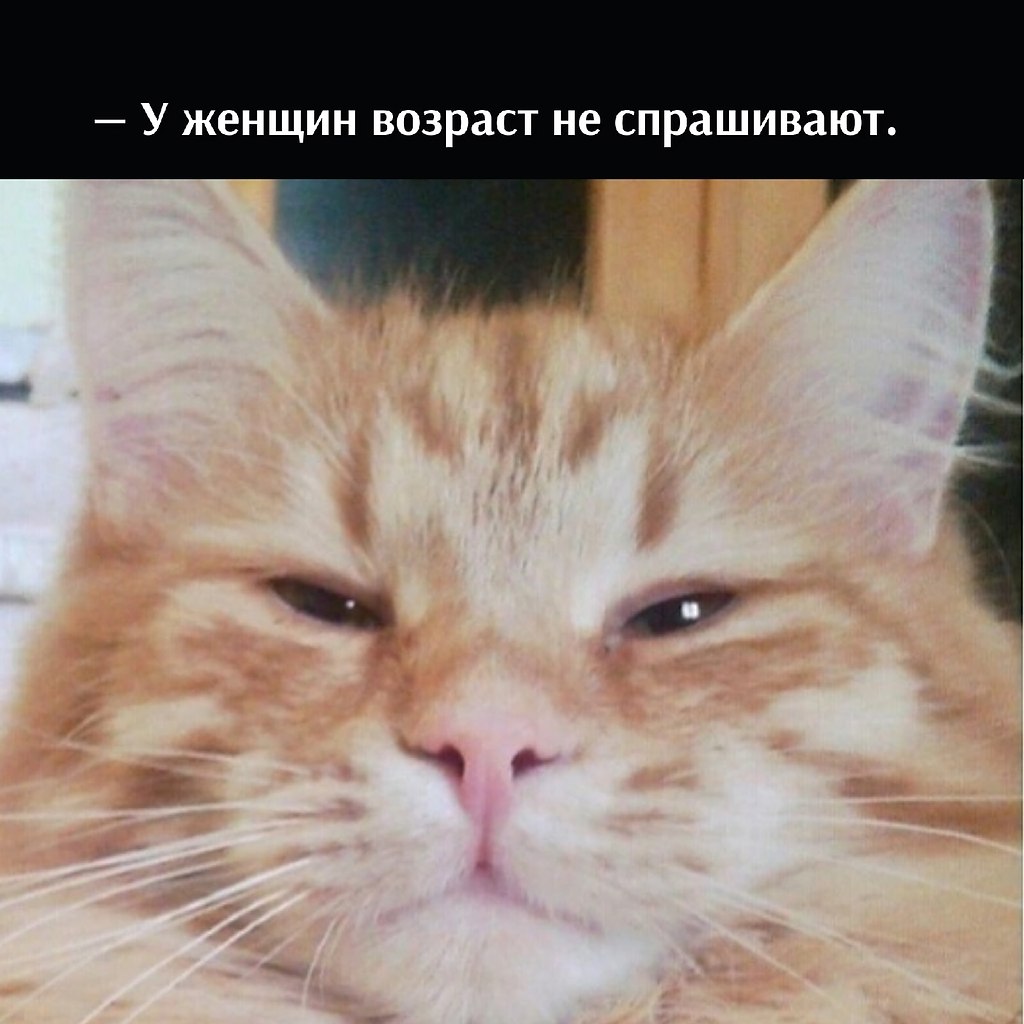 ��� ���� � ����� �� �� - 9 ������ 2026 � 17:12 - 2