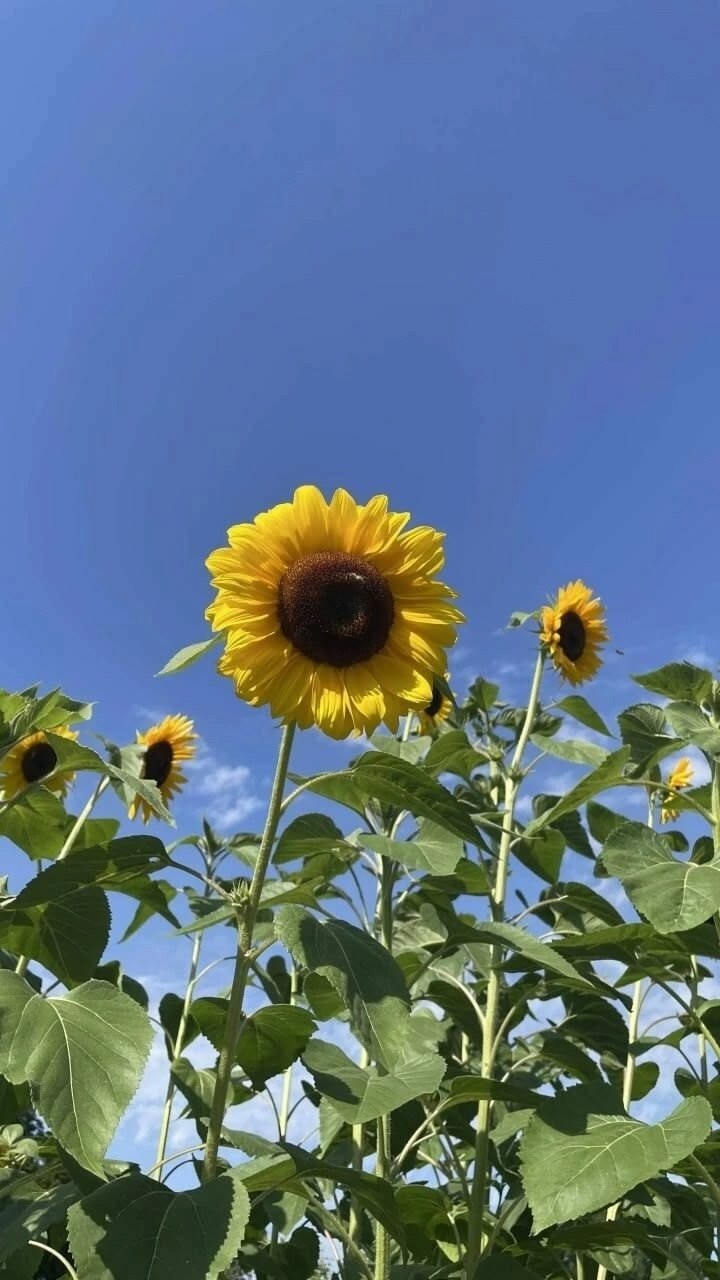 @ - 10  2025  00:43