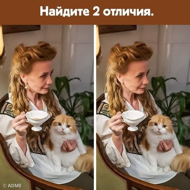   - 24  2024  10:05