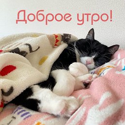 ���� ����, ������, 23 ���� - ��������� 18 ������ 2024