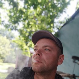 , 33, 