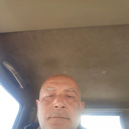 , 53, 