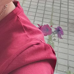 �����, �����