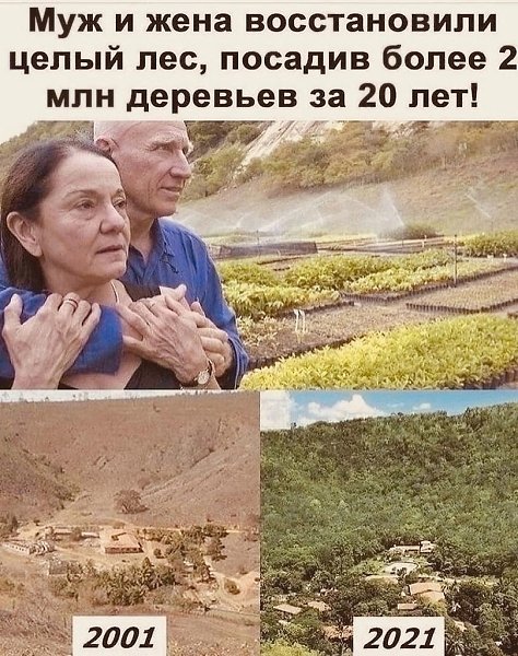  ,  .