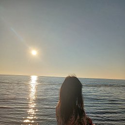 ���� ����, ����-���������, 41 ��� - ��������� 17 ������� 2026