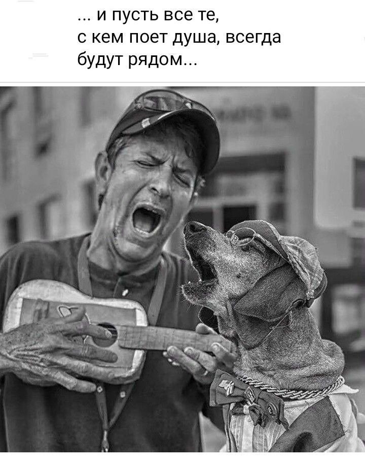   ! - 11  2024  11:51