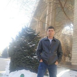 , 37, 