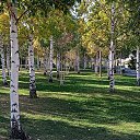 � ������� �� ������� ���� ����������