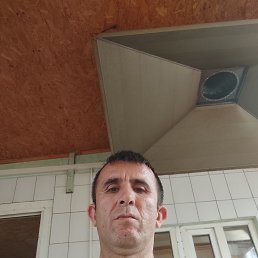 , 43, 