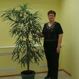 �������, �����, 66 ���