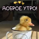 ���� ������, ������, 50 ��� - ��������� 3 �������� 2025 � ������ ���� ����������
