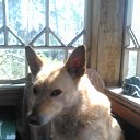 ���� �����, �����-���������, 65 ��� - ��������� 13 ������ 2025 � ������ ������ ��������