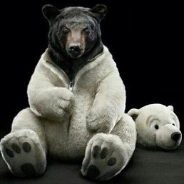 Dilshod, �������, 40 ���