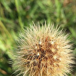 ���� �������, ��������, 63 ���� - ��������� 8 ������ 2023