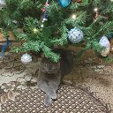 ���� ���������, ����� - ��������� 31 ������� 2025 � ������ ���� ����������