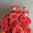 ���� ��������, ����������� - ��������� 26 ������ 2023 � ������ ������ ��������