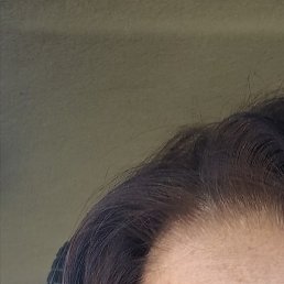 �����, �������, 64 ����