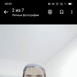  , , 41  -  7  2024