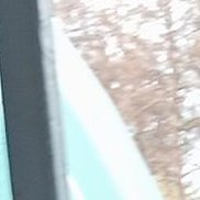 ������, 41 ���, �����������