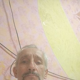 , 56, 