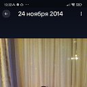 ���� ������, �����-���������, 42 ���� - ��������� 23 ������� 2025 � ������ ���� ����������