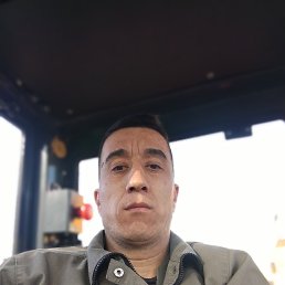 , 37, 