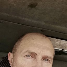 ���� ��������, ������, 66 ��� - ��������� 5 ������ 2026