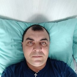 , 43, 