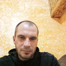 ���� . �����, ������, 41 ��� - ��������� 17 ������ 2025