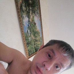 , 37, 